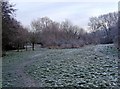 Frost in Springfield Park