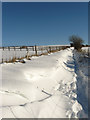 TQ3012 : Drifting Snow, South Downs Way by Simon Carey