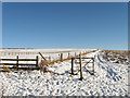 Bridleway Junction near New Barn Farm