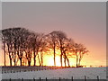 Winter sunset, near Rockfield