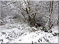 Stream and footpath in the snow