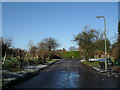 Lamppost in Tilehouse Road