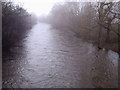 The River Aire at Shipley