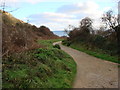 Footpath from the Car Park to the Beach at Porth Curnow