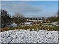 Biddulph Valley at noon on Christmas Day