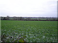 Ballymacilrany Townland