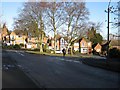 Suburban scene, Kempson Avenue