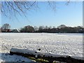 The Rec, Cragg Hill, Christmas Day