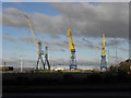 Cranes close to East Twin Road, Belfast Docks