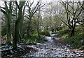 Footpath through woodland, Colton Hills, Wolverhampton