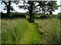 Footpath north east of Plumley