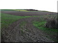 SU2643 : Quarley - Muddy Field Entrance by Chris Talbot