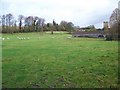 Grazing, Aldbourne