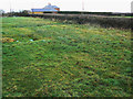 Bridleway near Lower Farm, Purton Stoke