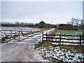 Farm track opposite Burston Hill farm