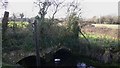 Derelict bridge over millstream near Westbourne