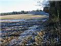 Looking up to Deane Down Drove