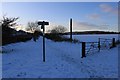 Track to Blairadam woods