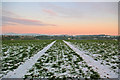 Tractor tracks in the snow