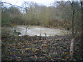 Small pool on the SW side of the former opencast site