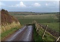 Track to Noss Mayo