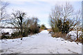 Track to Drove Lane - Sleaford