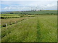 Field path north of Newton Farm