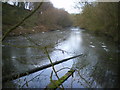 Pool at the upper end of Lydebrook Dingle