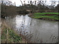 Bend in the River Rother west of Southdean Farm