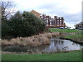 Lake Park Pond, Peacehaven