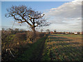 Public Footpath towards Ulceby Skitter