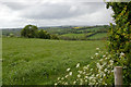 Mendips Way Panorama 7