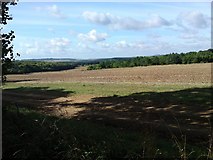SU2431 : Farmland from the very edge of Bentley Wood by dinglefoot