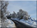 NC4801 : A 839 "In Wintery conditions" by sylvia duckworth