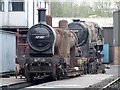 SK4151 : Midland Railway Centre, Swanwick Junction by Dave Hitchborne