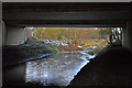 Beneath Bonemill Bridge on the A17 - Sleaford