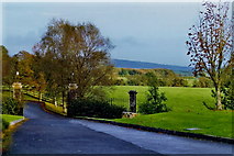 R4471 : Quin - Knappogue Castle grounds - View to southeast by Joseph Mischyshyn