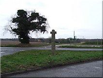 TG2134 : Hanworth Cross by Keith Evans