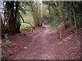 Bridleway between Pickets Hill and Smithy Lane