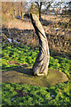 Wood carving beside the River Slea - Sleaford