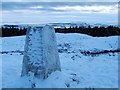 NS4280 : Trig point on Pappert Hill by Lairich Rig