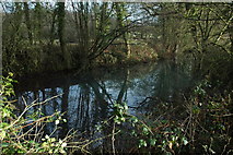 SP0153 : Moat at Rous Lench by Philip Halling