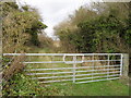 Field gateway off the Stanton Harcourt to Cogges road