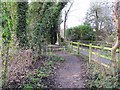 Towpath from the track