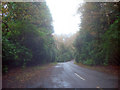 Entrance drive to Newstead Abbey - 1