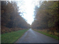 Entrance drive to Newstead Abbey - 2