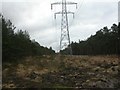 West Moors, power lines