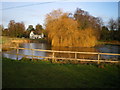 Pool at Sheriffhales, and the Manor Lodge cottage