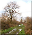 Farm track west of Barby