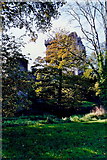 W6075 : Blarney Castle grounds - River, tower and castle by Joseph Mischyshyn